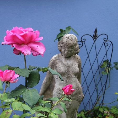 No.31 B&B Im Rosengarten Kapellen-Drusweiler المظهر الخارجي الصورة