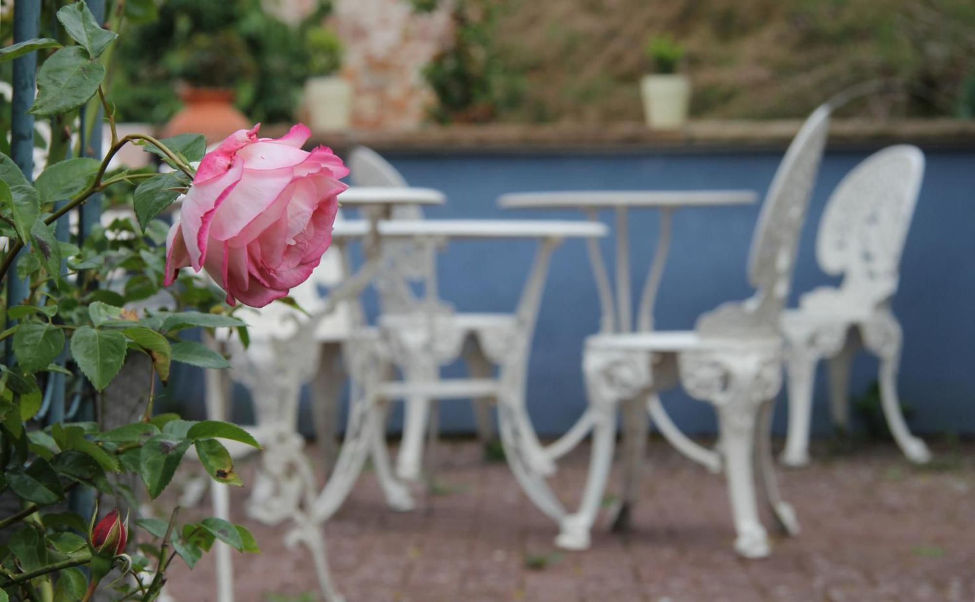 No.31 B&B Im Rosengarten Kapellen-Drusweiler المظهر الخارجي الصورة