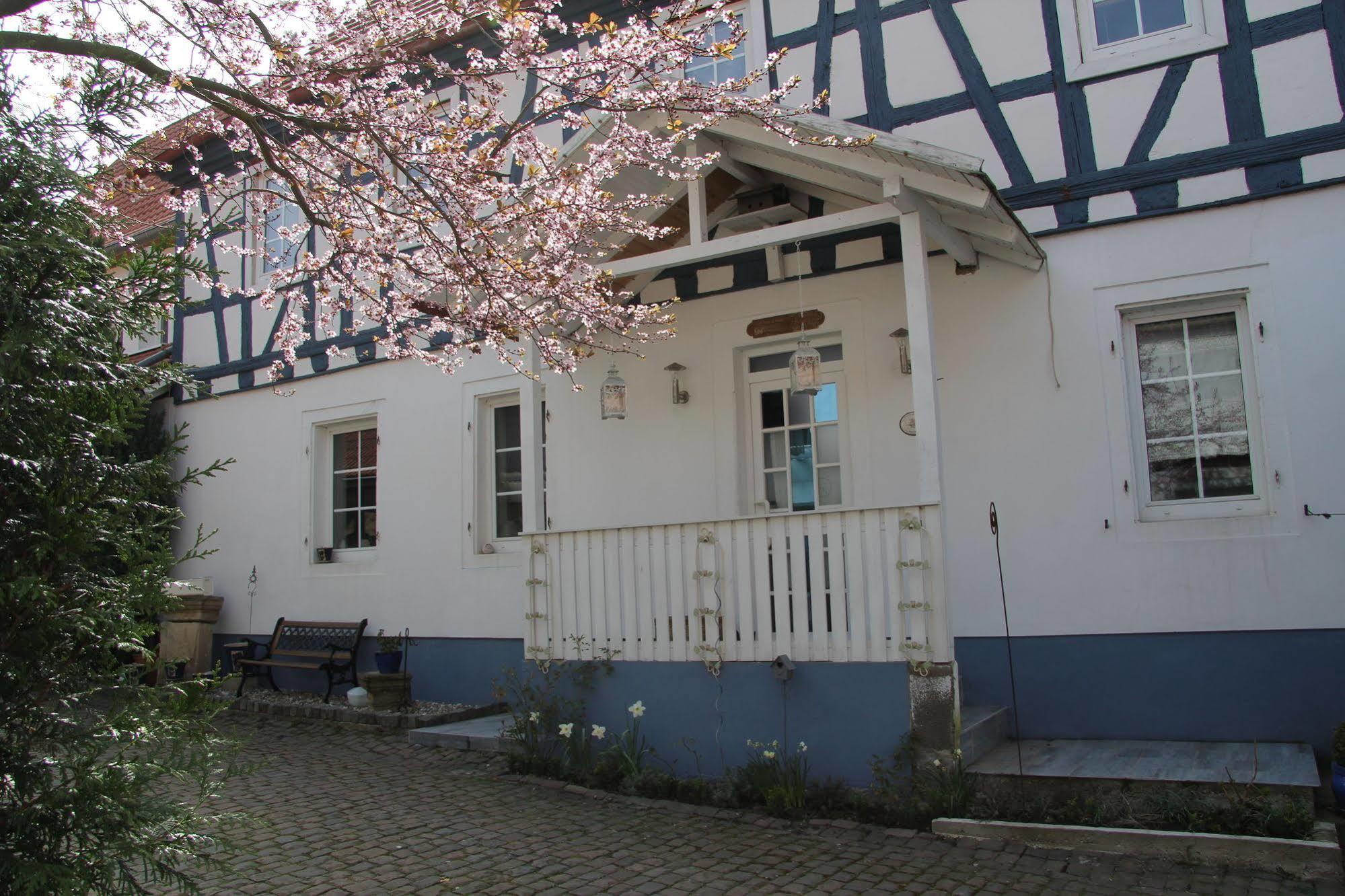 No.31 B&B Im Rosengarten Kapellen-Drusweiler المظهر الخارجي الصورة